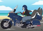 anthro beach black_body breasts cleavage clothed clothing female motorcycle motorcycle_helmet outside seaside solo vehicle fuf honda daryah_(rileyrivers) cetacean dolphin hybrid mammal marine oceanic_dolphin orca pinniped seal toothed_whale hi_res