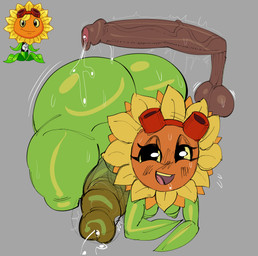 areola balls big_balls big_butt big_penis black_eyes bodily_fluids breasts butt crossgender erection eyewear eyewear_on_head flower foreskin ftg_crossgender fti_crossgender genital_fluids genitals goggles goggles_on_head green_areola green_body green_nipples gynomorph huge_butt huge_penis intersex looking_at_viewer nipples open_mouth penis plant precum saggy_balls solo thick_thighs unretracted_foreskin wide_hips yellow_sclera kopokofiart electronic_arts plants_vs._zombies plants_vs._zombies_heroes popcap_games solar_flare_(pvz) elemental_creature elemental_humanoid flora_fauna flower_creature humanoid plant_humanoid sunflower_(pvz) absurd_res hi_res reference_image