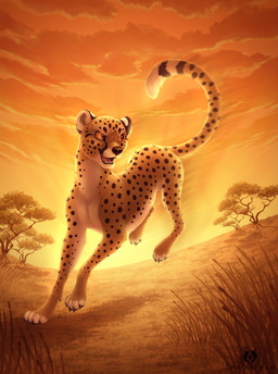 4_toes ambiguous_gender black_nose black_spots claws cloud detailed_background digitigrade feet feral fur grass light markings nature open_mouth outside plant running sky solo spots spotted_body spotted_fur sunlight sunset tail teeth toe_claws toes tree whiskers dolphydolphiana cheetah felid feline mammal 2016 detailed signature