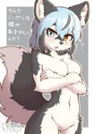 anthro blue_eyes blue_hair blush breasts casual_nudity countershade_face countershade_torso countershading crossed_arms featureless_breasts featureless_crotch female female_anthro fur grey_body grey_fur grey_hair hair heterochromia inner_ear_fluff kemono looking_at_viewer multicolored_body multicolored_fur multicolored_hair naturally_censored nude open_mouth question_mark solo text tuft two_tone_body two_tone_fur two_tone_tail white_body white_countershading white_fur yellow_eyes acky05 canid canine canis domestic_dog husky mammal nordic_sled_dog siberian_husky spitz 2021 digital_media_(artwork) hi_res japanese_text portrait signature three-quarter_portrait translated