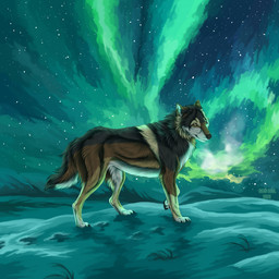 ambiguous_feral ambiguous_gender aurora_(phenomenon) black_body black_fur black_tail brown_body brown_fur brown_tail cheek_tuft facial_tuft feral fur mouth_closed neck_tuft night outside side_view solo tail tan_body tan_fur text tuft white_body white_fur white_tail msdeadsoul taki_(taki-wolf) canid canine canis mammal wolf 1:1 2025 artist_name dated hi_res