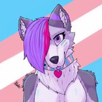 anthro arm_tuft big_breasts breasts collar female fluffy fur grey_body grey_ears grey_fur hair heart_symbol lgbt_pride looking_at_viewer magenta_hair multicolored_body multicolored_fur neck_tuft pride_colors purple_eyes purple_hair purple_tongue shoulder_tuft simple_background smile solo tongue tongue_out transgender_pride_colors tuft white_body white_fur tami_wolx tami_wolf canid canine canis mammal wolf 1:1 2024 absurd_res detailed digital_drawing_(artwork) digital_media_(artwork) hi_res icon watermark