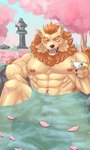 5_fingers abs anthro balls bathing beverage biceps casual_nudity cherry_blossom cherry_blossom_tree cherry_tree claws detailed_background elbow_fur eyebrows eyes_closed fingers flower foreskin fruit_tree fur genitals glans hair holding_beverage holding_object hot_spring humanoid_hands male muscular muscular_anthro muscular_male muscular_thighs navel nipples nude onsen open_mouth open_smile orange_eyes orange_hair orange_pubes orange_tail partially_submerged pecs penis plant prunus_(flower) pubes red_glans skinny_dipping smile solo tail tan_body tan_fur thick_eyebrows tree water weedwolf asian_mythology east_asian_mythology japanese_mythology mythology sdorica toyokuni canid foo_dog komainu mammal yokai 2021 3:5 hi_res