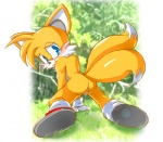 all_fours canine crossgender female fox miles_prower multiple_tails pussy pussy_juice sega solo sonic_(series)
Rating: Explicit
Score: 3
User: Kitsu~
Date: December 22, 2009