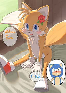 accessory anthro bed bed_sheet bedding belly blue_eyes blush chest_tuft clothing day dialogue dipstick_tail flower flower_in_hair footwear fur furniture gloves grass green_eyes greeting hair hair_accessory handwear looking_at_viewer male male/male markings multicolored_body multicolored_fur offscreen_character on_bed open_mouth plant shoes sitting speech_bubble tail tail_markings talking_to_another text tuft two_tone_body two_tone_fur white_belly white_body white_fur window yellow_body yellow_fur young young_male hoyahoya sega sonic_the_hedgehog_(series) miles_prower sonic_the_hedgehog canid canine eulipotyphlan fox hedgehog mammal 2023 absurd_res english_text hi_res