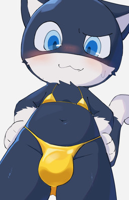 anthro big_bulge bikini black_body black_fur blue_eyes blush bulge clothed clothing crossdressing fur gold_bikini male markings navel shortstack shortstack_male solo swimwear tail tail_markings two-piece_swimsuit white_body white_fur ayakata45 atlus golden_week megami_tensei persona_(series) persona_5 sega morgana_(persona) domestic_cat felid feline felis mammal tuxedo_cat hi_res