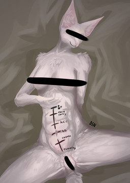 anthro bed body_writing censor_bar censored_genitalia female fluffy fur furniture graded_belly muscular muscular_female nude on_bed presenting solo spread_legs spreading white_body white_fur destellanova staben_(destellanova) domestic_cat felid feline felis mammal absurd_res censored digital_media_(artwork) hi_res