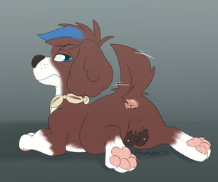 anatomically_correct anatomically_correct_genitalia animal_genitalia anus balls blue_eyes brown_body brown_fur butt canine_genitalia collar feral fur genitals hair hairless_balls highlights_(coloring) jewelry looking_at_viewer male necklace neckwear pawpads paws presenting presenting_anus raised_tail simple_background solo tail tail_anus tail_motion tailwag toony white_body white_fur aurapuparts paw_patrol moby_(paw_patrol) bird_dog canid canine canis domestic_dog hunting_dog mammal portuguese_water_dog absurd_res digital_media_(artwork) hi_res
