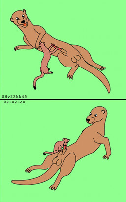 animal_genitalia balls brown_body brown_fur duo erection feral fur genitals interspecies lying male male/male nude nude_male on_back oral penis red_penis sheath size_difference smile tail toony urbanhermit mammal mustelid musteline otter true_musteline weasel 2002 5:8 colored dated