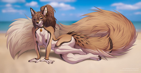anthro areola barbell_piercing beach bedroom_eyes biped breasts feet female hair long_tail looking_at_viewer lying narrowed_eyes nipple_barbell nipple_piercing nipples nude nude_anthro nude_female on_side outdoor_nudity outside paws piercing sand seaside seductive smile solo tail water melianah sonia_v canid canine canis mammal wolf 2025 digital_drawing_(artwork) digital_media_(artwork) hi_res