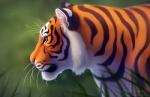 ambiguous_gender black_ears black_stripes fur grass inner_ear_fluff orange_body orange_fur pink_nose plant side_view solo striped_body striped_fur stripes text tuft whiskers white_body white_ears white_fur chiakiro felid mammal pantherine tiger 2018 url