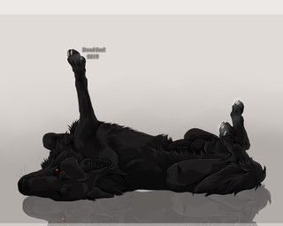 animal_genitalia animal_penis balls black_balls black_body black_ears black_fur black_nose black_penis canine_genitalia canine_penis cheek_tuft claws erection facial_tuft feral fur genitals knot looking_at_viewer lying male monotone_body monotone_fur neck_tuft on_back penis red_eyes reflection solo tuft white_claws msdeadsoul canid mammal 2019 5:4 dated signature