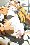 anthro balls belly big_belly blush erection eyes_closed genitals humanoid_hands kemono male musclegut muscular orange_body penis pink_nose sitting solo white_body kisukemk777 felid mammal pantherine tiger 2022 censored hi_res mosaic_censorship