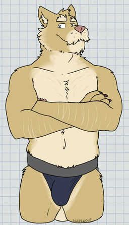 anthro arm_hair belly blue_clothing blue_eyes blue_underwear body_hair brown_claws bulge checkered checkered_background chest_hair claws clothed clothing crossed_arms eyebrows facial_hair fur inner_ear_fluff jockstrap jockstrap_only male mustache navel nipples partially_clothed partially_clothed_anthro partially_clothed_male pattern_background pink_nipples pink_nose simple_background slightly_chubby smile solo standing tan_body tan_eyebrows tan_fur tan_inner_ear tan_inner_ear_fluff thick_arms thick_eyebrows topless topless_anthro topless_male tuft underwear underwear_only whisker_spots white_background white_sclera yellow_body yellow_fur unsafescapewolf northern_lights_(visual_novel) vincent_(northern_lights) canid canine canis mammal wolf 2025 digital_drawing_(artwork) digital_media_(artwork) hi_res portrait three-quarter_portrait