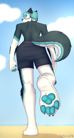 4_toes 5_fingers anthro beach black_claws black_nails black_nose blue_body blue_eyes blue_fur blue_hair blue_pawpads bottomwear claws clothing colored_nails feet feet_in_air fingers fluffy fluffy_tail foot_focus fur fur_markings hair inner_ear_fluff looking_at_viewer looking_back male markings multicolored_body multicolored_fur nails pawpads presenting shorts simple_background solo tail toes tuft two_tone_body walking white_body white_feet terrcofr freki_(kuro_boi) canid canine canis mammal wolf 2025 absurd_res digital_media_(artwork) hi_res