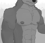 abs anthro armpit_hair biceps body_hair chest_hair chest_tuft fur grey_body grey_fur grey_nipples happy_trail male mature_anthro mature_male muscular muscular_anthro muscular_male nipples pecs solo tuft kodiff canid canine canis mammal wolf blender_(artwork) digital_drawing_(artwork) digital_media_(artwork)