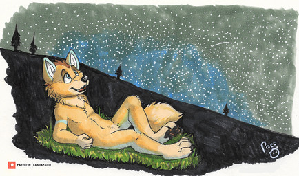 anthro black_nose black_pawpads blue_eyes fur glistening glistening_eyes grass logo male male_anthro night nude open_mouth open_smile orange_body orange_fur outside patreon_logo pawpads plant reclining side_view smile solo star tan_body tan_fur young young_anthro young_male pandapaco patreon canid canine mammal artist_logo signature