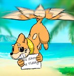 2_tails ambiguous_gender beach day feral flying holding_object holding_sign looking_at_viewer multi_tail propositioning seaside sign smile solo tail text unremarkable_guy nintendo pokemon buizel generation_4_pokemon mammal mustelid pokemon_(species) hi_res