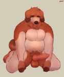 animal_genitalia anthro balls belly bent_legs brown_balls brown_body canine_genitalia fluffy fur genitals knot long_ears male narrowed_eyes neck_tuft pecs penis pubes shy simple_background sitting slightly_chubby slightly_chubby_male solo spread_legs spreading tail tongue tongue_out tuft white_body white_fur yellow_eyes snaftfc bappy_(bembosdoggo) canid canine canis domestic_dog mammal 5:6 absurd_res hi_res