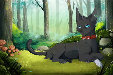 ambiguous_gender black_body black_fur black_nose black_pawpads black_whiskers blue_eyes claws collar day detailed_background digitigrade feral forest fungus fur grass grey_claws looking_at_viewer lying mushroom notched_ear on_front outside pawpads paws plant pupils red_collar rock slit_pupils solo spiked_collar spikes tail tree whisker_spots whiskers maplespyder warriors_(book_series) scourge_(warriors) domestic_cat felid feline felis mammal 2015 3:2 digital_media_(artwork) digital_painting_(artwork) green_theme painting_(artwork) shaded soft_shading male_(lore)