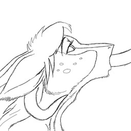 animated_gif anthro female freckles fur grin humor looking_at_viewer simple_background smile solo suggestive text white_background ipoke mythology starling_(snowrose) dragon furred_dragon furred_scalie mythological_creature mythological_scalie scalie 1:1 2d_animation animated english_text frame_by_frame headshot_portrait loop low_res monochrome portrait short_playtime sketch source_request