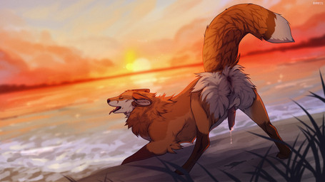 anus balls detailed_background dipstick_tail erection eyes_closed feral fur genitals male markings multicolored_tail open_mouth orange_body orange_fur outside penis quadruped raised_tail sea sky solo sunset tail tail_markings teeth tongue water white_body white_fur birrrrrrrrb lwr canid canine fox mammal red_fox true_fox 16:9 2021 digital_media_(artwork) widescreen