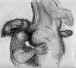 anthro bd butt butt_sniffing canid canine canis domestic_dog duo erection eyes_closed fur genitals graphite_(artwork) holding_butt humanoid_genitalia humanoid_penis male male/male mammal markings monochrome nose_to_anus pencil_(artwork) penis slightly_chubby smile sniffing striped_markings striped_tail stripes tail tail_markings traditional_media_(artwork)
