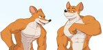 abs anthro athletic biceps black_nose brown_body brown_fur flexing flexing_bicep fur looking_at_viewer male multicolored_body multicolored_fur muscular muscular_anthro muscular_male open_mouth open_smile orange_body orange_fur pecs smile solo jrjresq geronimo_stilton_(series) gigachad geronimo_stilton mammal mouse murid murine rat rodent hi_res