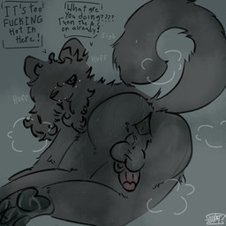 anthro anus balls bodily_fluids butt genitals luxxy(luxatfer) male male/male musk musky_penis penis practice presenting presenting_hindquarters presenting_penis puffy_anus small_penis smell solo sweat sweatdrop sweaty_balls sweaty_butt sweaty_genitalia luxatfer felid humanoid mammal pantherine snow_leopard hi_res
