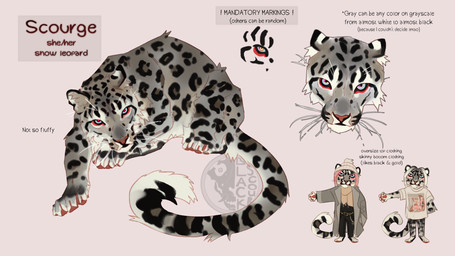 anthro black_sclera blue_eyes cheek_tuft clothed clothing facial_tuft female feral front_view fur grey_body grey_fur hair logo looking_at_viewer lying mouth_closed multicolored_eyes on_front pawpads pink_hair red_eyes red_pawpads simple_background solo spotted_back spotted_legs standing text tuft whiskers white_body white_fur white_hair yellow_eyes justkiddinb scourge_(blackscour) felid mammal pantherine snow_leopard 16:9 artist_logo english_text hi_res model_sheet widescreen