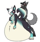 anthro anthro_on_anthro belly big_belly black_body black_fur blue_body blue_fur blush bodily_fluids breasts canid canine canis choker choker_only cum cum_ballooning cum_inflation cum_inside derrysome dominant dominant_male duo dusk_sharpclaw ear_piercing featureless_breasts female fennec_fox fluffy fluffy_tail fox from_behind_position fur genital_fluids grey_body grey_fur hair hair_over_eye hand_on_belly hi_res hip_grab huge_belly hyper hyper_belly inflation jewelry looking_pleasured lying male male/female mammal mitsuki_akagawa neck_tuft necklace necklace_only nude on_front one_eye_obstructed piercing raised_tail resting_on_belly sex simple_background submissive submissive_female sweat sweatdrop tail tan_body tan_fur tongue tongue_out true_fox tuft white_background white_body white_fur wolf