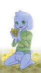 anthro blush clothed clothing diaper exposed_diaper flower flower_bed fur green_eyes holding_flower holding_object kneeling looking_at_viewer male open_mouth plant shadow simple_background solo sweater topwear white_body white_fur young young_anthro avealrykun undertale undertale_(series) asriel_dreemurr boss_monster_(undertale) bovid caprine goat mammal hi_res