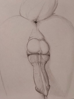 animal_genitalia animal_penis anus anus_focus balls bodily_fluids butt canine_genitalia canine_penis close-up dripping faceless_character faceless_male feral fur furry_balls genital_fluids genital_focus genitals knot knotted_penis low-angle_view male penis penis_backwards penis_focus perineum precum precum_drip presenting presenting_hindquarters presenting_penis realistic_feral solo tail_anus vein veiny_knot veiny_penis loobylewds canid mammal absurd_res hi_res sketch