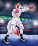 abs anthro biped bottomwear boxing_gloves clothing detailed_background fighting_ring footwear hair handwear male red_boxing_gloves red_clothing red_hair red_handwear shoes shorts solo standing white_bottomwear white_clothing white_shorts lora_mclaren canid canine canis mammal wolf 2021 5:6 absurd_res hi_res