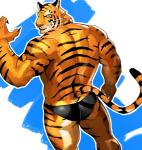 anthro claws clothing male muscular muscular_anthro muscular_male rear_view red_nose solo stripes teeth thong underwear yellow_eyes sakuramaru123 felid mammal pantherine tiger