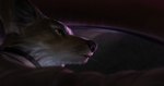 anthro black_nose close-up clothed clothing depth_of_field light male purple_lighting snout solo toothpick whiskers yellow_eyes lofi drive_(movie) canid canine fox mammal 2017 lighting