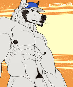 anthro armpit_hair beard black_body black_fur black_nipples black_nose blue_clothing blue_hat blue_headwear body_hair clothing facial_hair facial_tuft flaccid fur genitals happy_trail hat hat_only headgear headgear_only headwear headwear_only humanoid_genitalia humanoid_penis looking_aside looking_at_viewer low-angle_view male mostly_nude multicolored_body multicolored_fur muscular muscular_anthro muscular_male nipples nude orange_background pattern_background penis penis_base pubes simple_background solo tuft vein veiny_penis whiskers white_body white_fur yellow_background depictionexpress alfonso_(depictionexpress) canid canine canis mammal wolf 5:6 half-length_portrait hi_res portrait