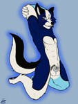 anthro blue_body blue_fur blue_pawpads blush chastity_cage chastity_cage_only chastity_device chastity_device_only fur male nude pawpads sheath_cage simple_background solo derjinzo snow_wave canid canine canis mammal wolf 3:4 hi_res