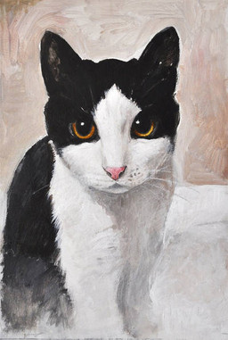 black_body black_fur feral fur looking_at_viewer multicolored_body multicolored_fur orange_eyes pink_nose quadruped solo two_tone_body two_tone_fur whiskers white_body white_fur renum63 domestic_cat felid feline felis mammal 2014 acrylic_painting_(artwork) painting_(artwork) traditional_media_(artwork) traditional_painting_(artwork)