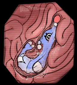 blush endosoma exhibitionism full_tour gurgle_(sound_effect) guts inside_intestines internal intestines organs peristaltic_contractions safe_vore solo unseen_pred villi vore endoscopebrain nintendo pokemon brionne generation_7_pokemon pokemon_(species)
