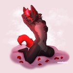 anthro fur grey_body grey_fur male nude red_body red_fur simple_background smile solo tail werewolfprince666 fury_(furythewolf) furythewolf canid canine canis mammal wolf 1:1 absurd_res digital_media_(artwork) hi_res