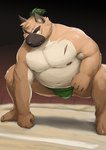 anthro asian_clothing belly big_belly brown_body clothing cute_fangs east_asian_clothing fangs humanoid_hands japanese_clothing kemono male mawashi moobs nipples overweight overweight_male scar solo sumo sumo_ring teeth barontoko lifewonders tokyo_afterschool_summoners yasuyori_(tas) canid canine canis domestic_dog mammal 2022 absurd_res hi_res