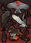 armor black_body black_feathers blood_moon brown_body brown_feathers feathers feet female feral fire flying group headgear helmet male mask red_background red_eyes simple_background talons toes white_body white_feathers labyart guardians_of_ga'hoole kludd metal_beak nyra_(gogh) avian barn_owl bat bird mammal owl sooty_owl tyto tytonid hi_res