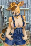 anthro areola areola_slip breasts brown_body brown_eyes brown_fur brown_hair clothing collar cowbell female fur hair hay horn nipples overalls overalls_only photo_background pitchfork rope shovel solo tail tan_body tan_fur tools wagon_wheel caribou_(artist) bovid bovine cattle jersey_cattle mammal 2023 photography_(artwork)