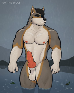 5_fingers abs animal_genitalia anthro arm_hair barazoku big_penis black_hair body_hair brown_eyes canine_genitalia chest_hair claws erection eyebrows facial_hair finger_claws fingers fur genitals grey_body grey_fur hair hairy_legs head_tuft knot lake leaf looking_aside male male/male mountain muscular muscular_male neck_tuft nipples nude nude_anthro nude_male orange_body orange_fur outside partially_submerged pecs penis pointy_ears pose prick_ears pubes raining sheath solo standing thick_eyebrows tuft water wet wet_body wet_fur white_body white_fur ray_the_wolf ray_(ray_the_wolf) canid canine canis mammal wolf 2025 4:5 colored digital_drawing_(artwork) digital_media_(artwork) hi_res pinup shaded watermark