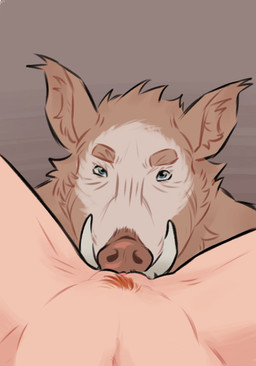 anthro cunnilingus duo female female_pov first_person_view male male/female oral sex vaginal racson paizo pathfinder shizukomo tuskwinn half-elf human mammal suid suine sus_(pig) wereboar werecreature weresuid weresuine wild_boar