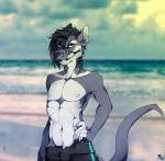 anthro beach fur hair looking_at_viewer male navel nipples outside seaside solo standing teaksamin canid canine mammal digital_media_(artwork) hi_res shaded