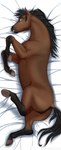 anatomically_correct anatomically_correct_anus anatomically_correct_genitalia anatomically_correct_pussy animal_genitalia animal_pussy anus black_anus black_body black_fur black_mane black_pussy brown_body brown_fur butt dakimakura equine_anus equine_genitalia equine_pussy eyebrows female feral fur genitals hooves lying mane nude on_side open_mouth presenting presenting_anus presenting_hindquarters presenting_pussy puffy_anus pussy quadruped raised_tail solo tail teeth kamilazu stella_(wasen) equid equine horse mammal swedish_warmblood 2022 dakimakura_design digital_media_(artwork) hi_res