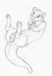 anus female feral genitals lying on_back pussy solo tail tail_anus nullenigma mammal mustelid otter 2011 black_and_white graphite_(artwork) monochrome sketch traditional_media_(artwork)