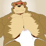 anthro asian_clothing belly bodily_fluids brown_body brown_fur bulge clothing cute_fangs east_asian_clothing fangs fundoshi fur genital_fluids japanese_clothing kemono male moobs navel nipples overweight overweight_anthro overweight_male precum solo teeth underwear build64813614 sengoku_puzzle saigou_shirou bear mammal 1:1 2020 hi_res